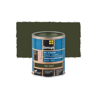 Sencys Lak Voor Deuren En Ramen Zijdeglans Ral6003 750ml