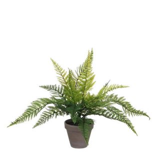 Mica Decorations kunstplant Varen