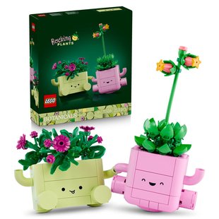 LEGO Botanicals - Schommelende plantjes 11506