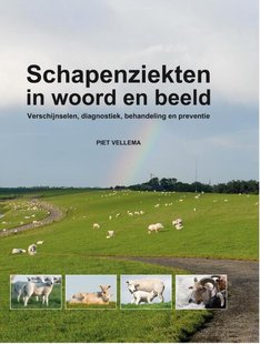 Schapenziekten in woord en beeld