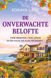 De onverwachte belofte