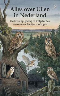 Alles over Uilen in Nederland