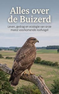 Alles over de Buizerd