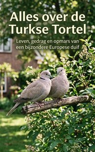 Alles over de Turkse Tortel
