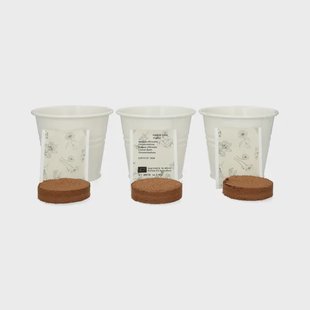 Kweekset theekruiden, biologisch, set van 3 potjes