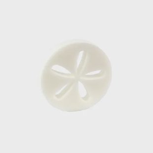 Summer Fun Spa Disc