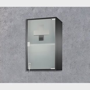 Spiegelkast Genoa - Met 1 Deur - Zwart - 30x50x15cm