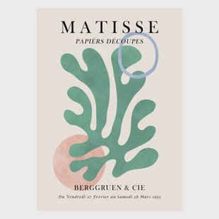 Poster & Frame Poster - Vitor Costa - Matisse floral Poster 6 (70 x 100 cm cm)