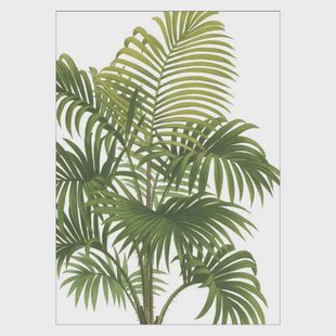 Poster & Frame Poster - Wild Apple - Riviera Palms I Crop (50 x 70 cm cm)
