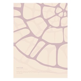 Poster & Frame Poster - Vicki Zoe - SOFTROSE FOSSIL (30 x 40 cm cm)