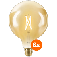 WiZ Smart Filament lamp Globe XL 6-pack  - Warm tot Koelwit Licht - E27