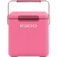 Igloo Tag a long2 Highrise 22QT pink