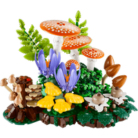 LEGO Botanicals Bospaddenstoelen 11505