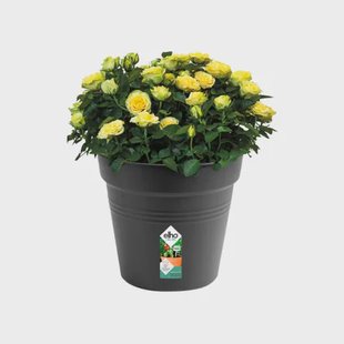 Elho Bloempot Green Basics - Kunststof - Geborsteld Nikkel - Diam.40xh36,8cm