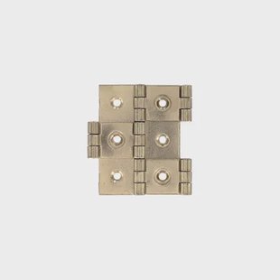 Vynex Windschermscharnier - Messing Gecoat Staal - 60x25 Mm - 2 Stuks