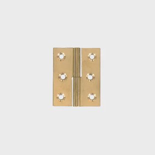 Vynex Meubelpaumel - Gepolijst Messing - 50x40 Mm - 2 Stuks