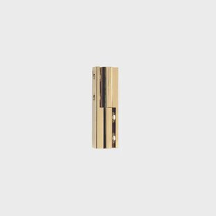 Vynex Paumelle Scharnier - Gepolijst Messing - 50 Mm - 2 Stuks