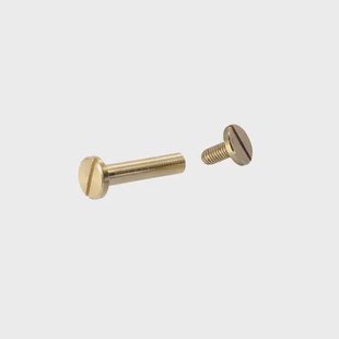 Vynex Universele Schroef Messing Vlakke Kop - 10x100mm - 2 Stuks