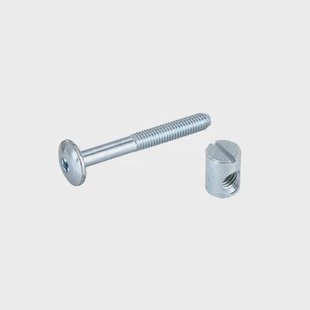 Vynex Spaanplaatschroef Verzinkt Bolkop Torx - 6x50mm - 4 Stuks