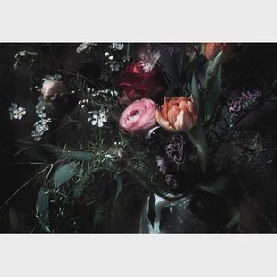 Komar Fotobehang Still Life