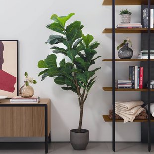 Kave Home Kunstplant Ficus - Groen