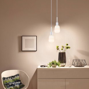 Paulmann URail DecoSystems hanglamp, signaalwit, metaal