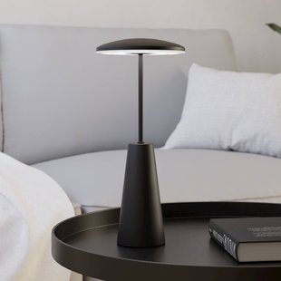 EGLO Piccola LED-acculamp, zwart, hoogte 28 cm, metaal, IP54