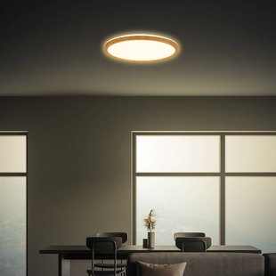 Briloner LED plafondlamp Tava Wood, Ø 29 cm, kunststof, 3.000 K
