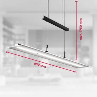 B.K. Licht LED hanglamp Tick zwart, glas, dimbaar, in hoogte verstelbaar