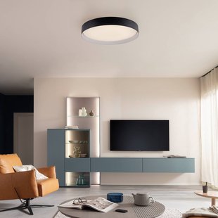 Schöner Wohnen LED plafondlamp TAVOLI, zwart, Ø 49 cm, metaal, CCT, dimbaar