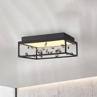 Paul Neuhaus LED plafondlamp SKINA, zwart, 40 cm, CCT-dimbare afstandsbediening
