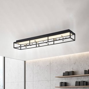 Paul Neuhaus LED plafondlamp SKINA, zwart, 112 cm, CCT-dimbaar, met afstandsbediening