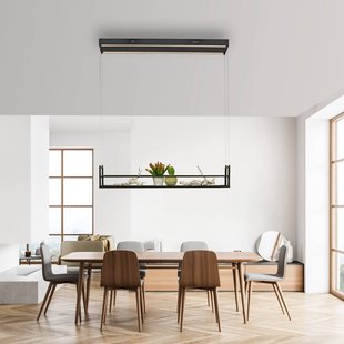 JUST LIGHT. GmbH LED hanglamp Sontura, zwart, ijzer, geschikt om op een plank te plaatsen