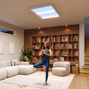 Philips plafondlamp SKYLIGHT VITA UP, 93 x 60 cm, wit, CCT, IP44