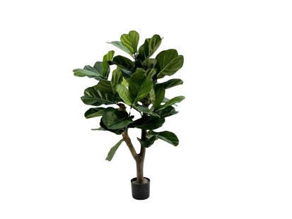 Designplants Lyrata Y kunstboom (h:130cm) - Laagste prijsgarantie!