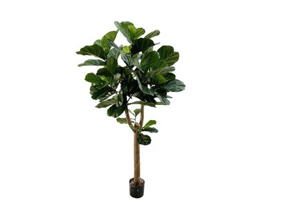 Designplants Lyrata Y kunstboom (h:170cm) - Laagste prijsgarantie!
