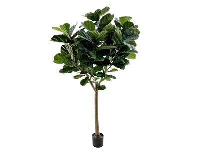 Designplants Lyrata Y kunstboom (h:220cm) - Laagste prijsgarantie!