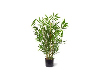 Designplants Japanse Bamboe kunstplant (h:60cm) - Laagste prijsgarantie!
