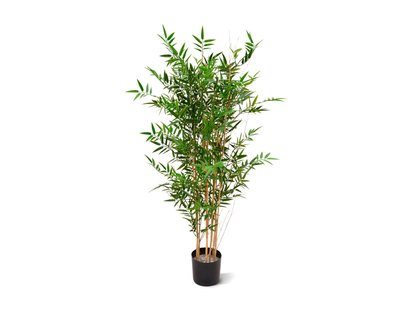 Designplants Japanse Bamboe kunstplant (h:120cm) - Laagste prijsgarantie!
