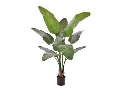 Designplants Strelitzia Nicolai kunstplant (h:145cm) - Laagste prijsgarantie!