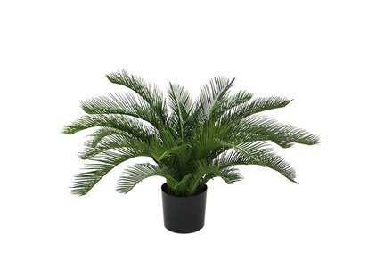 Designplants Cycas palm kunstplant (h:60cm) - Laagste prijsgarantie!