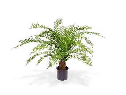 Designplants Alsophillia varen kunstplant (h:80cm) - Laagste prijsgarantie!