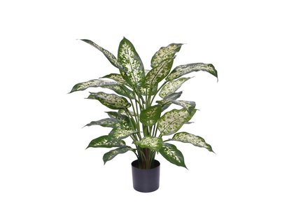 Designplants Dieffenbachia kunstplant (h:60cm) - Laagste prijsgarantie!