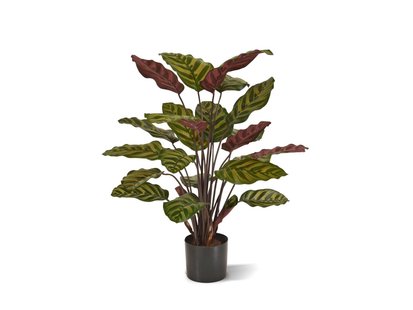 Designplants Red Calathea Makoyana kunstplant (h:60cm) - Laagste prijsgarantie!