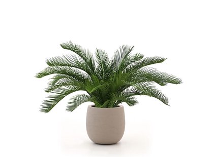 Designplants/Luca Lifestyle Cycas palm kunstplant (h:60cm) met Terreno Tall Balloon bloempot - Laagste prijsgarantie!