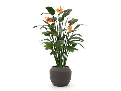 Designplants/Luca Lifestyle Strelitzia kunstplant (h:145cm) met Ruvido Combi bloempot - Laagste prijsgarantie!