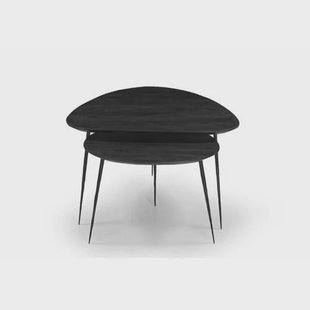 Giga Meubel Salontafel Remi - Organisch - Mangohout - Set van 2