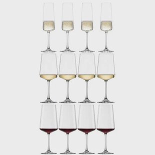 Schott Zwiesel Wijnglazenset MioVino 12-delige - Rode wijnglazen, Witte wijnglazen en Champagneglazen