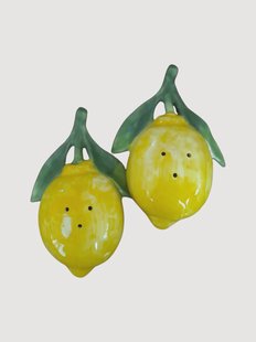 Handgeschilderde zout- en pepermolens Lemon, 2-delig