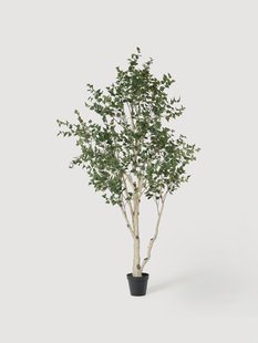 Kunstplant Berk Green